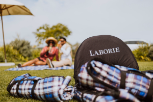 Laborie Estate Picnics (5)