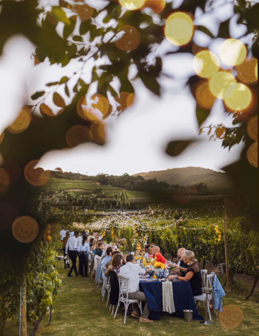 Laborie Estate Events 8