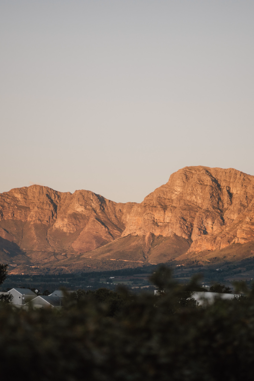 Christmas view at Laborie Estate