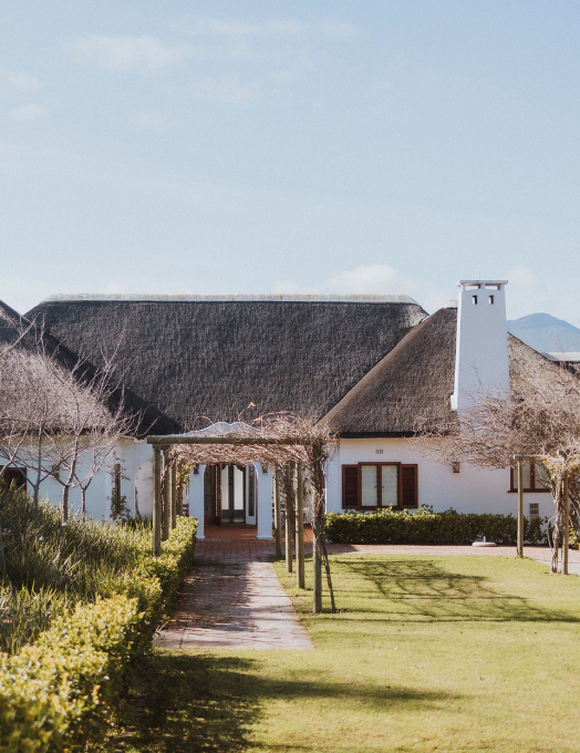 WEBSITE FOTOS 524 X 786 (1)